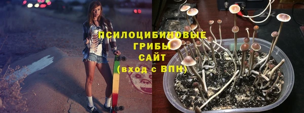 ешки Абаза