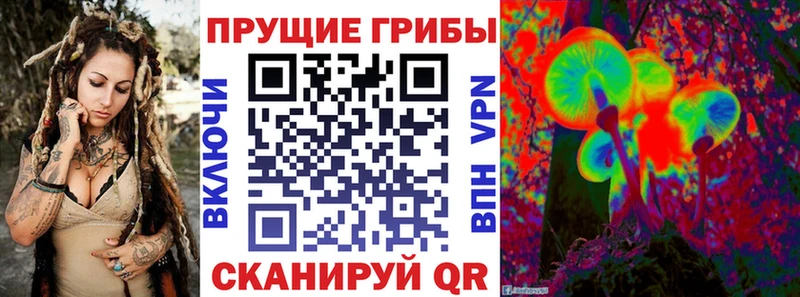 мориарти какой сайт  Темников  Псилоцибиновые грибы Psilocybine cubensis 