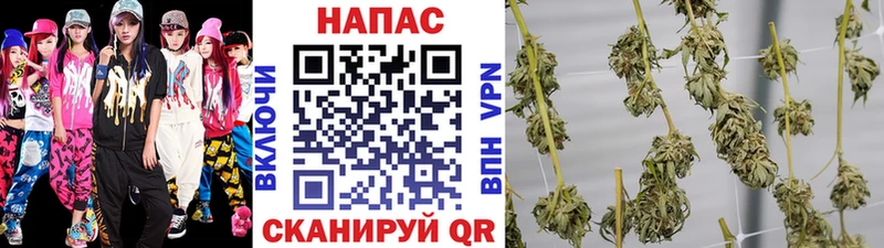 Канабис VHQ  купить  цена  кракен ONION  Темников 